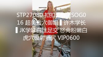 秘密的画舫SecretAtelier2013HD720P韩语中字