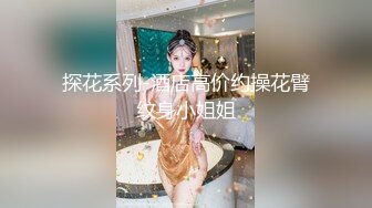 小陈头星选二位高端外围小姐姐