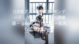 (18禁アニメ 無修正) ボンデージ・ゲーム ～深窓の隷嬢達～ game.2「YAYOI ～恥乳の奴隷淑女～」