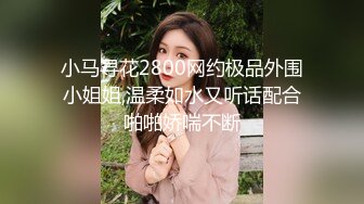 小马寻花2800网约极品外围小姐姐,温柔如水又听话配合啪啪娇喘不断