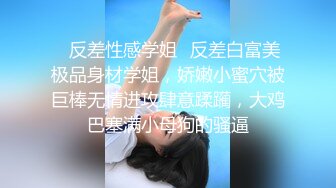 ⭐反差性感学姐⭐反差白富美极品身材学姐，娇嫩小蜜穴被巨棒无情进攻肆意蹂躏，大鸡巴塞满小母狗的骚逼