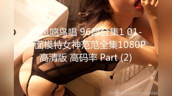 91凤鸣鸟唱 96部合集1 01-平面模特女神范范全集1080P高清版 高码率 Part (2)