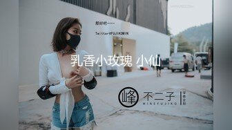 乳香小玫瑰 小仙