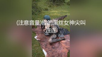   高端泄密极品美女上海何麦伢与男友啪啪流出