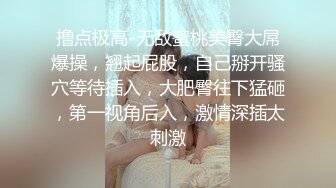 【顶级性爱重磅核弹】极品绿帽淫妻『小海星』最强性爱私拍 黑丝女神挑战各路性爱大神 操嗨全场 (2)