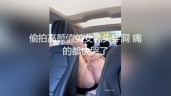 【清纯少妇致命诱惑】绿帽男偷拍老婆~家中客厅调情啪啪，激情啪啪高潮迭起【19V】 (4)