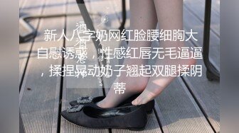 麻豆传媒-恋爱辅助器女上司攻略恋爱选项-寻小小