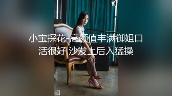 小宝探花-高颜值丰满御姐口活很好 沙发上后入猛操