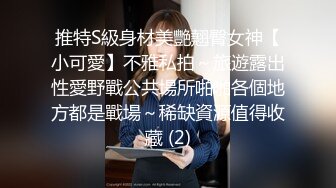 推特S級身材美艷翹臀女神【小可愛】不雅私拍～旅遊露出性愛野戰公共場所啪啪各個地方都是戰場～稀缺資源值得收藏 (2)