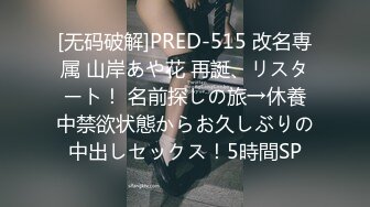 [无码破解]PRED-515 改名専属 山岸あや花 再誕、リスタート！ 名前探しの旅→休養中禁欲状態からお久しぶりの中出しセックス！5時間SP