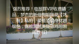 ❤️重磅VIP福利分享，推特OF极品童颜巨乳百变福利姬【Meiilyn】私拍，裸舞啪啪紫薇脸逼同框，母狗属性拉满