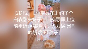 无敌少妇第一季