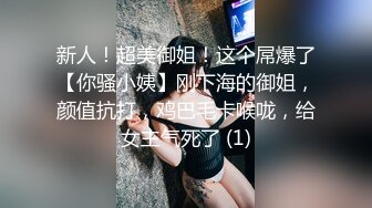 STP27564 顶级女神超级丝袜控180大长腿女神▌苹果▌高跟黑丝吊带真是爽到家 落地窗前后入极品尤物 好淫荡的风景线 VIP0600