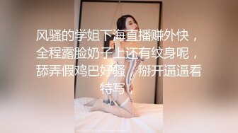 【阿龙探花】过年不休息 龙哥喊了个良家人妻共渡春宵