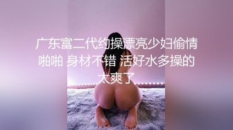 赛吹风机完整版