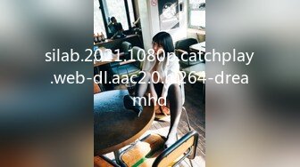 silab.2021.1080p.catchplay.web-dl.aac2.0.h.264-dreamhd