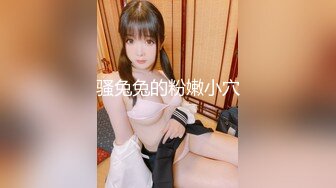 麻豆传媒 MCY-0027《空姐女友被强暴》-苏清歌