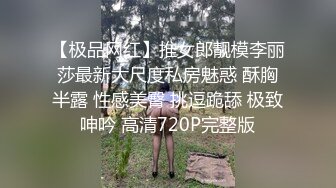 最新流出厕拍大神在某山顶公园女厕偷放设备偷拍近距离后拍(10)夜拍牛仔裤长靴美女逼毛性感