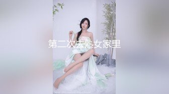 果冻传媒-私人玩物1-高梨遥香