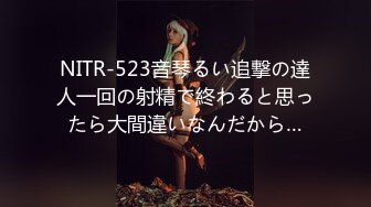 NITR-523音琴るい追撃の達人一回の射精で終わると思ったら大間違いなんだから…