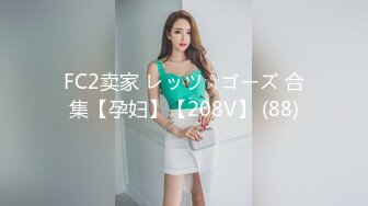 震撼福利☆☀️2024年新作超高颜值车模女神【太子妃】高门槛福利户外露出，调教，商场公园景区，屌炸天 (9)