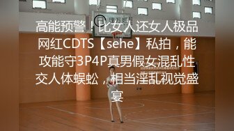 高能预警！比女人还女人极品网红CDTS【sehe】私拍，能攻能守3P4P真男假女混乱性交人体蜈蚣，相当淫乱视觉盛宴