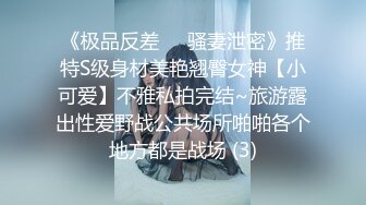 《极品反差㊙️骚妻泄密》推特S级身材美艳翘臀女神【小可爱】不雅私拍完结~旅游露出性爱野战公共场所啪啪各个地方都是战场 (3)