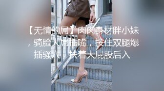 全套情趣空姐制服外围美女，修长美腿渔网袜，吸吮舔屌插嘴口活一流，扶着细腰后入肥穴，站立侧入镜头前一进一出