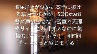 痴●好きが认めた本当に抜ける车内ワイセツ！SODstar8名が声の出せない密室で无理やりイかされ「ダメなのに気持ちいい～～ぃっ！」4时间ず～～～っと感じまくる！