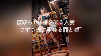 [dass-037] ヤりたい時、すぐにヤらせてくれる都合のいい地味巨乳の女部下。 辻井ほのか