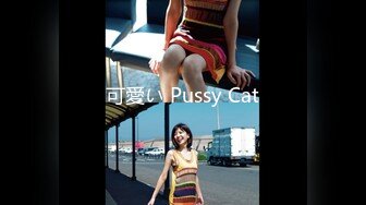 可愛い Pussy Cat